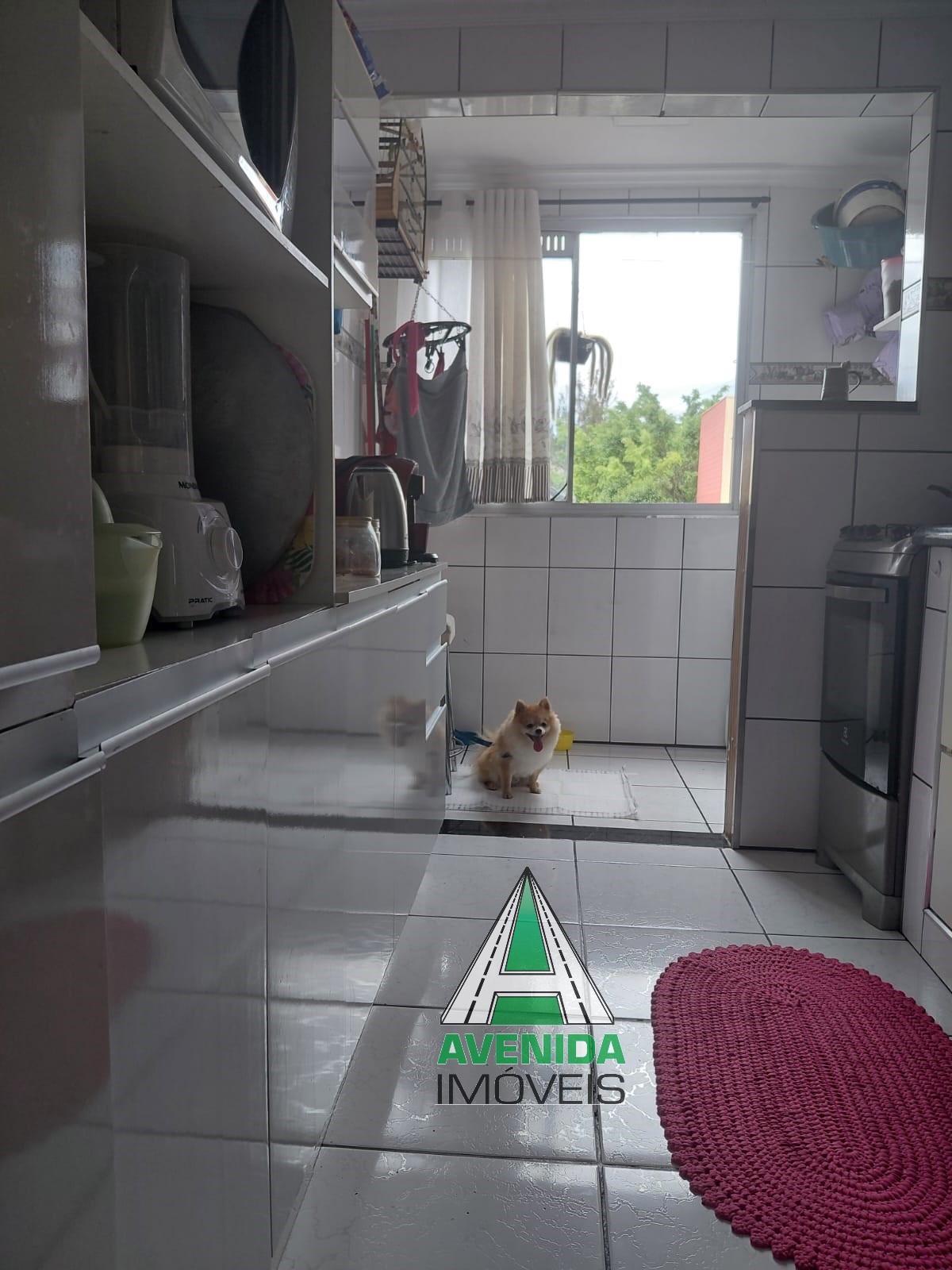 Apartamento 55 m², com 2 dormitórios, Jardim Alvorada, Santo André